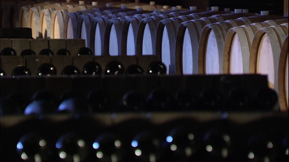 574484860 jesi industria vinicola botte di vino bottiglia di vino