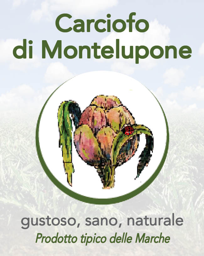 Carciofo di Montelupone Logo per FB