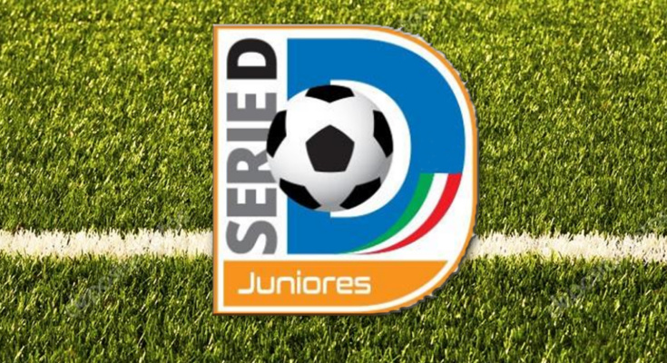 Logo Serie D Juniores 735x400