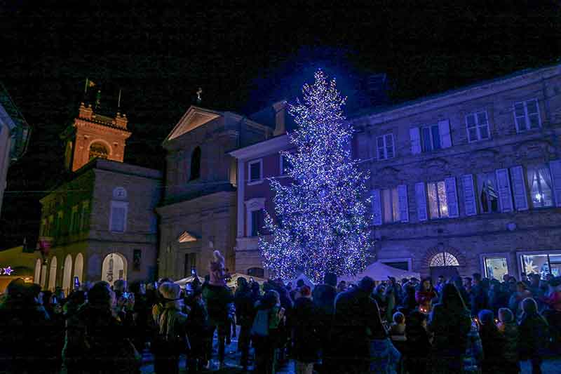 LAlbero di Natale illuminato in Piazza Bracaccini